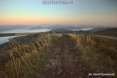 Marked hiking trail in the Bieszczady Mountains leading above the clouds