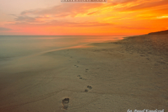 Footprints on the sea beach during sunrise