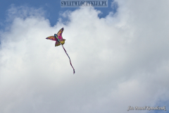 Kite floating in the sky in the shape of a colorful butterfly