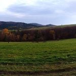 Zdjęcie panoramiczne łąki, lasu i pagórków
